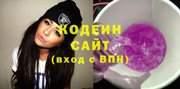 индика Бородино