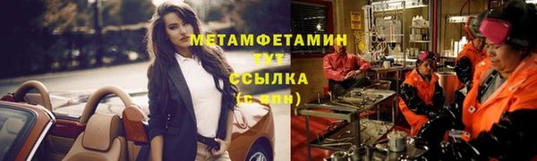 индика Бородино