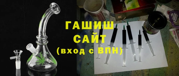 индика Бородино