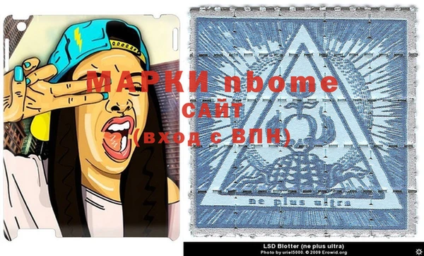 индика Бородино