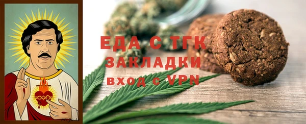 индика Бородино