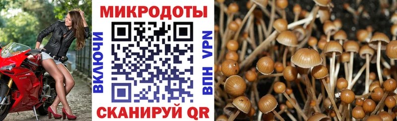 Галлюциногенные грибы мицелий Емва