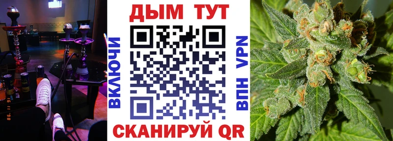 shop официальный сайт mega ONION Емва Бошки марихуана SATIVA & INDICA